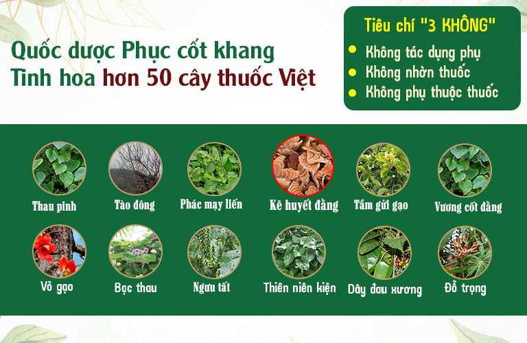 Bảng thành phần vàng 10 vị bổ 10