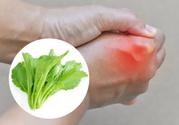 chữa bệnh gout bằng cải bẹ xanh