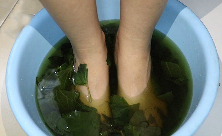 Cách ngâm chân với nước lá lốt giảm tê bì và đau thần kinh tọa