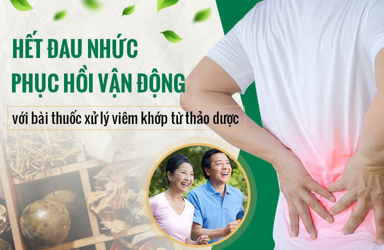 Bài thuốc điều trị dứt điểm viêm đa khớp từ thảo dược