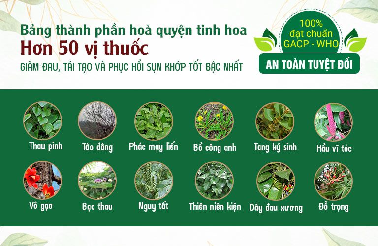 Bảng thành phần bài thuốc gồm những thảo dược dồi dào dược tính